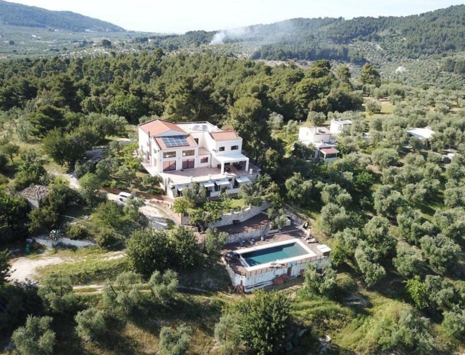 פסקיצ'י B&B Zia Ni מראה חיצוני תמונה